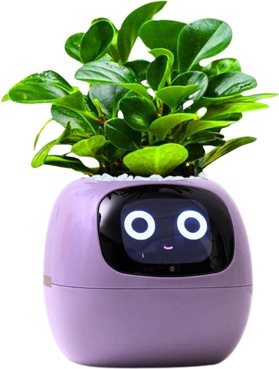 Produktbild Hermex Ivy Smart Planter (11 cm)
