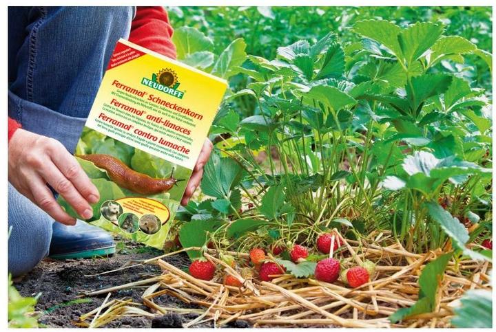 Produktbild Neudorff Schneckenkorn (Schnecken)