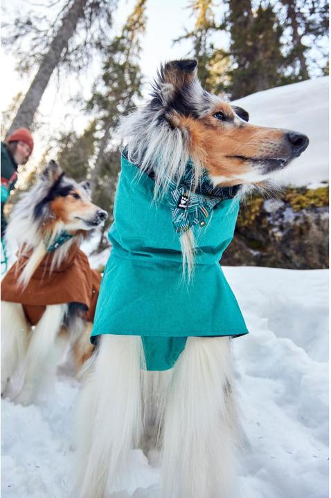 Image du produit Hurtta Monsoon V2 (40, Imperméable pour chien)