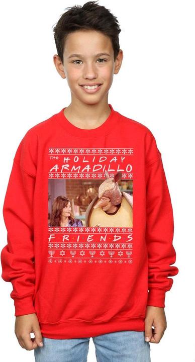 Image du produit Friends - Sweat FAIR ISLE HOLIDAY ARMADILLO - Garçon (140, 146)