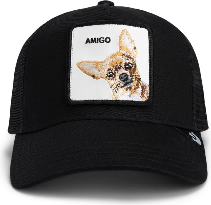 The Amigo
