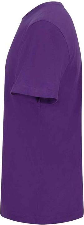 Actual product image Awdis Unisex Adult 150 T-Shirt (XL)
