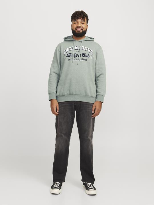 Immagine prodotto Jack & Jones JJELOGO SWEAT HOOD 2 COL 24/25 NOOS PLS (3XL)