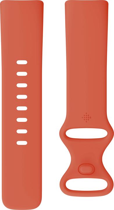 Actual product image Fitbit Charge 6 (36.73 mm)
