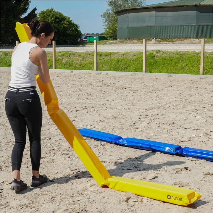 Actual product image Dönges Horse lane à 300 x 17 x 10 cm, yellow