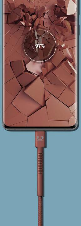 Immagine prodotto Fresh'N Rebel USB C - USB C (2 m, USB 3.0, 15 W)