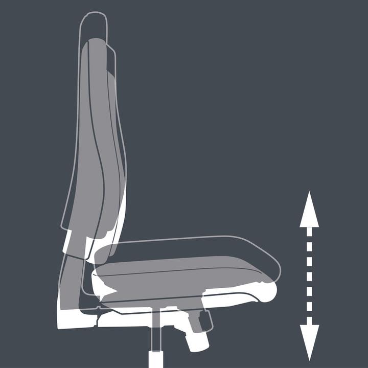 Actual product image Topstar Point 70
