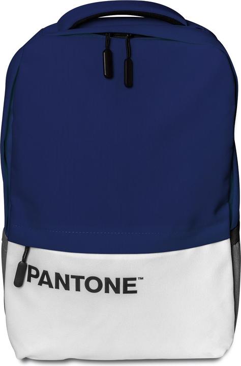 Pantone 15,6' Notebook-Rucksack mit Port