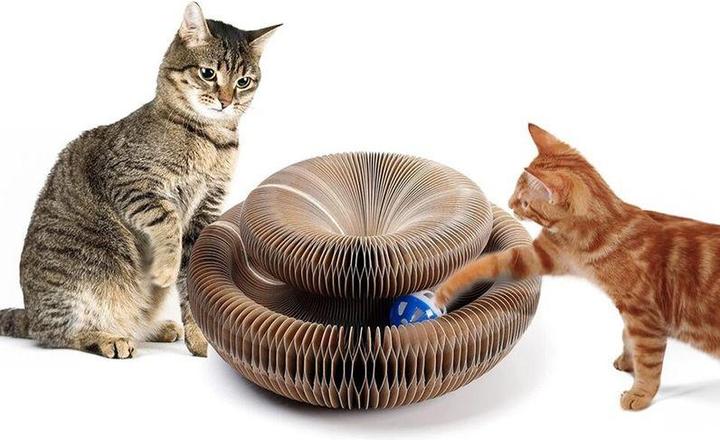 Produktbild Hermex Katzen Spielzeug (Beschäftigungsspielzeug Katze)