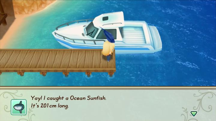 Actual product image Marvelous Story of Seasons : Friends of Mineral Town (Switch, FR)