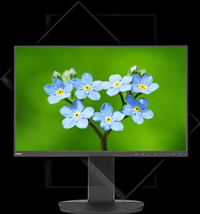 Actual product image NEC EA231WU (1920 x 1200 pixels, 22.50")