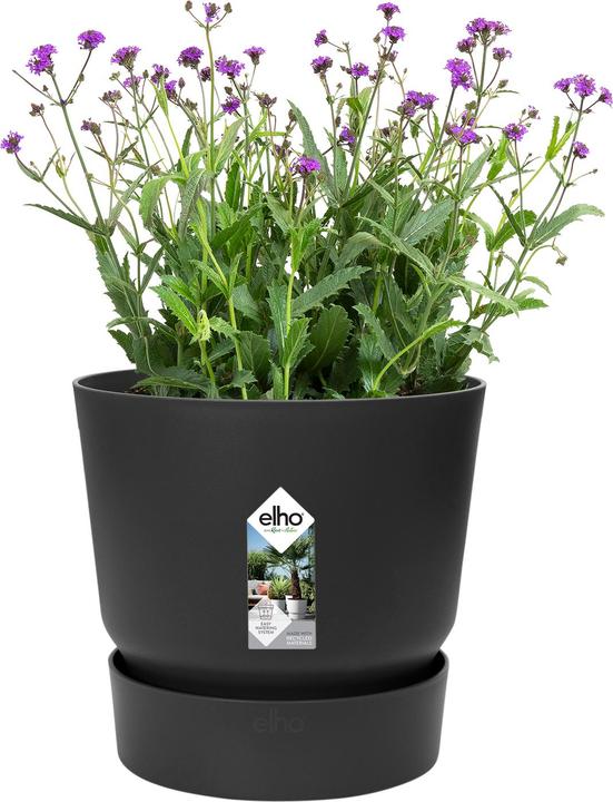 Immagine prodotto Elho Greenville (24.48 cm)