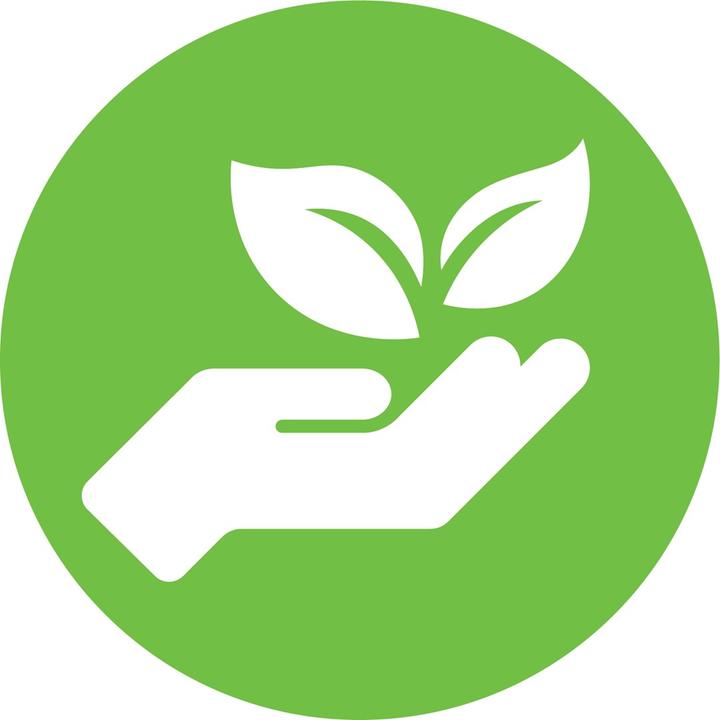 Actual product image Dymo Labels