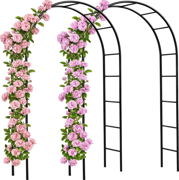 Deuba Kit d'arches de jardin (240 cm, 140 cm)