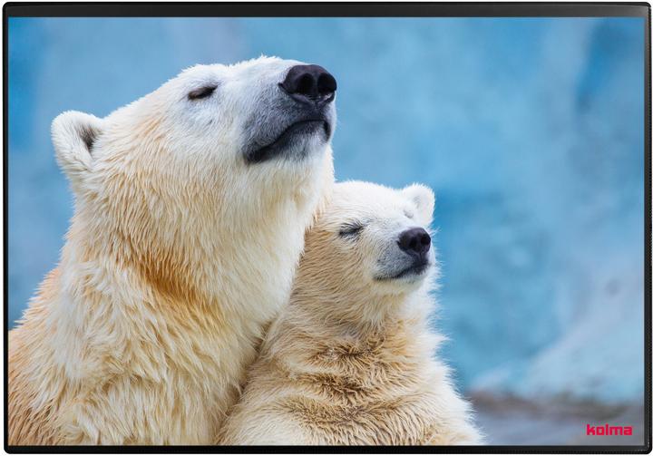 Produktbild Kolma Schreibunterlage Poster (Eisbär) 50 x 34 (50 x 34 cm)
