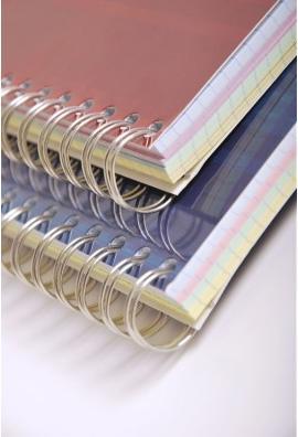 Produktbild Clairefontaine Spiralheft mit Register (A4, Kariert, Harter Einband)