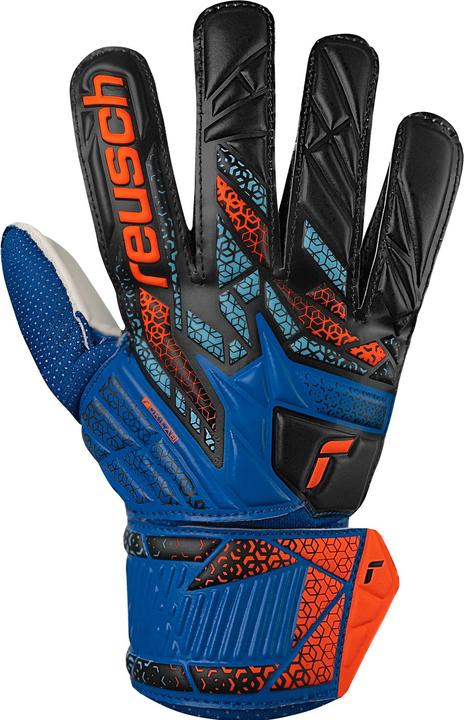 shock. orang, blu elettrico