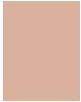 Produktbild Sisley Phyto Teint Nude No 3C (3C Natural)