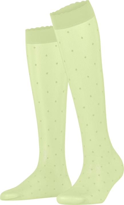 Falke Dot 15 DEN Damen