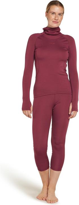 Image du produit Icebreaker Femmes 300 MérinoFine Polar L/S Col roulé (L)