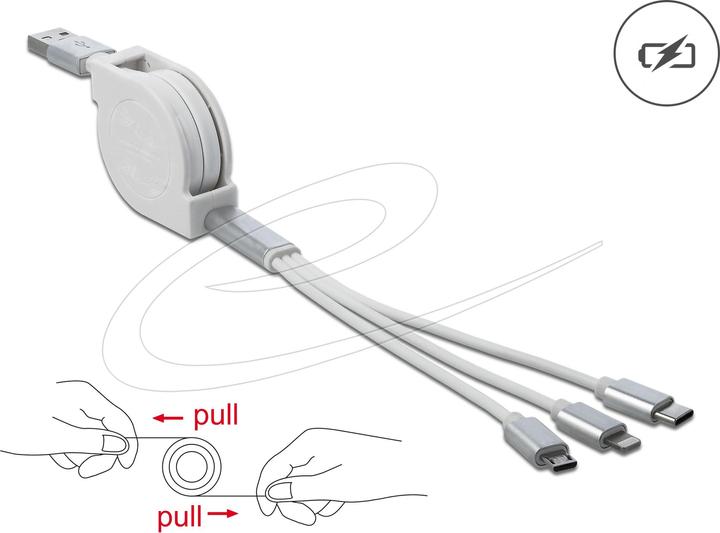 Image du produit Delock Câble adaptateur USB 3.0 (0.98 m, USB 2.0)