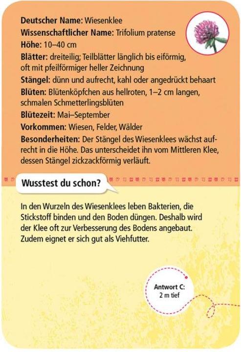 Produktbild 50 heimische Blumen (Deutsch)