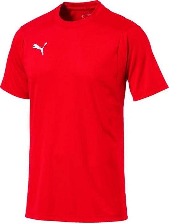 Puma Liga Training Jersey (S)
