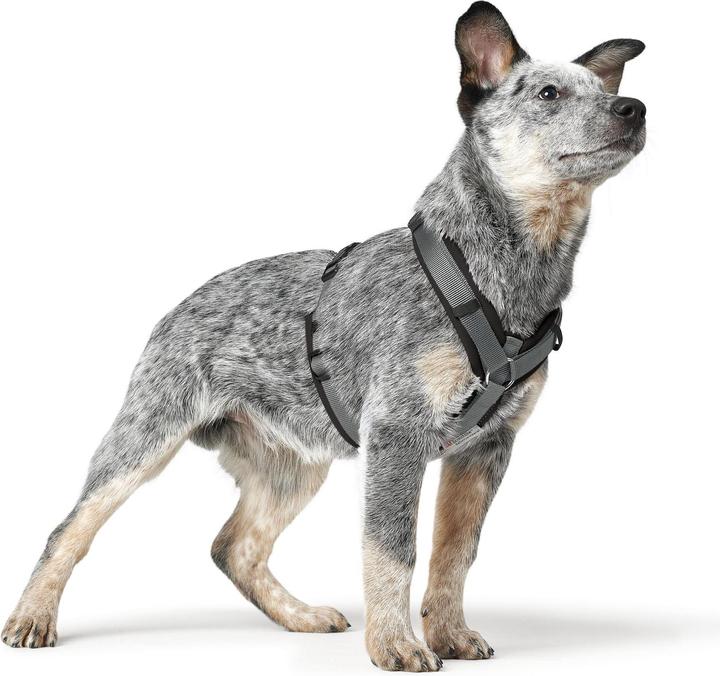 Produktbild Hunter Hundegeschirr Maldon Up (M, Hund, Allgemein)