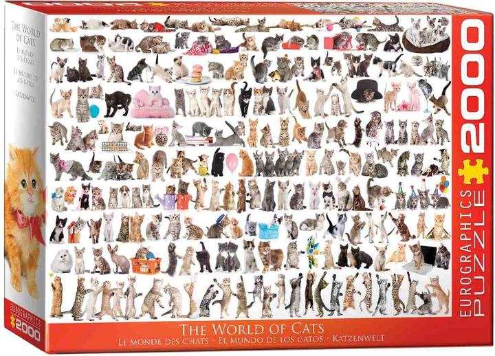 Produktbild Eurographics Welt der Katzen (2000 Teile)