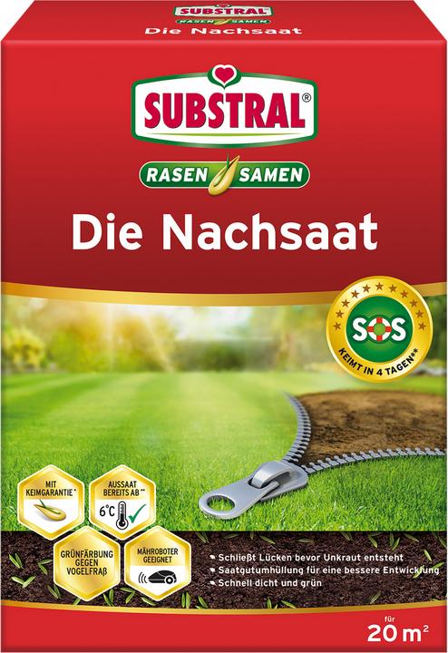Substral Die Nachsaat 400 g (Rasensamen)