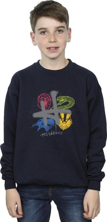 Image du produit - Sweat EMBLEMS H SPRAY - Garçon (116)