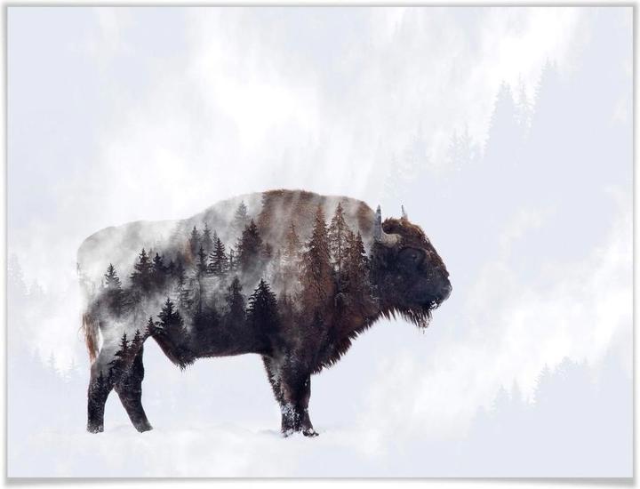 Produktbild Trenddeko Der Bison (60 x 50 cm)