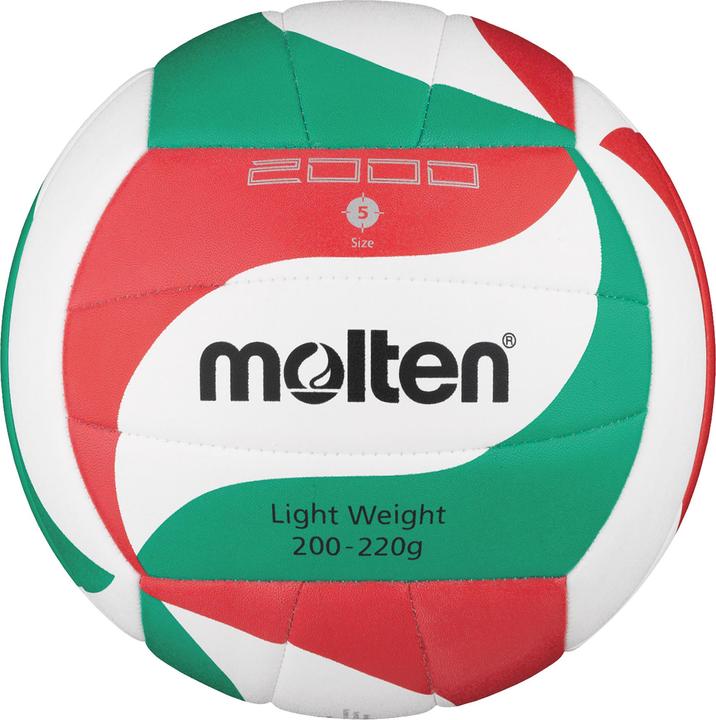 Actual product image Molten V5M2000-L VOLLEYBALL (5)
