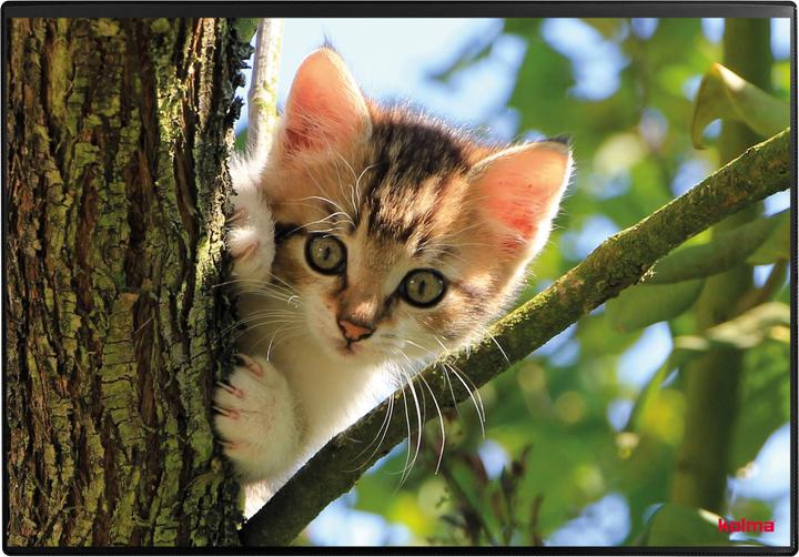 Image du produit Kolma Sous-main Poster (chat) 50 x 34 (50 x 34 cm)