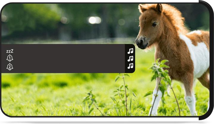 Produktbild Bigben Horses