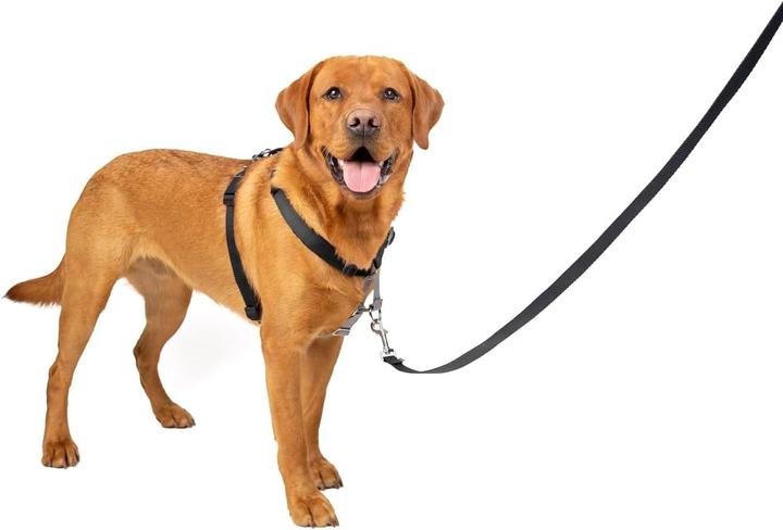 Actual product image PetSafe 6 in 1 Harness and Car Restraint (L, Dog, General, Walks)