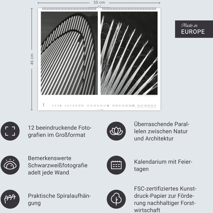 Produktbild Natur : Architektur Kalender 2026 (55 x 46 cm, Deutsch)