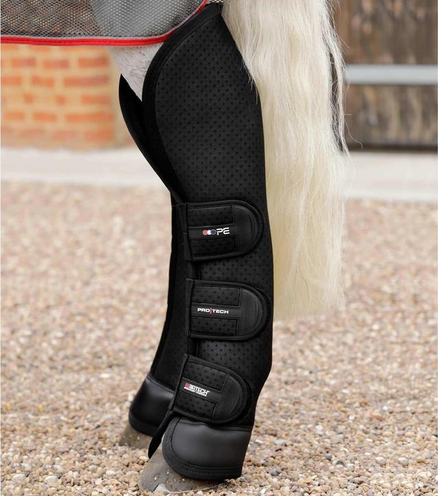 Produktbild Premier Equine Airtechnology