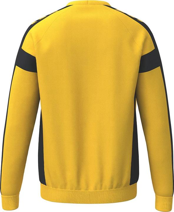 Produktbild Erima CMPT 3 Wings Sweatshirt GK (M)