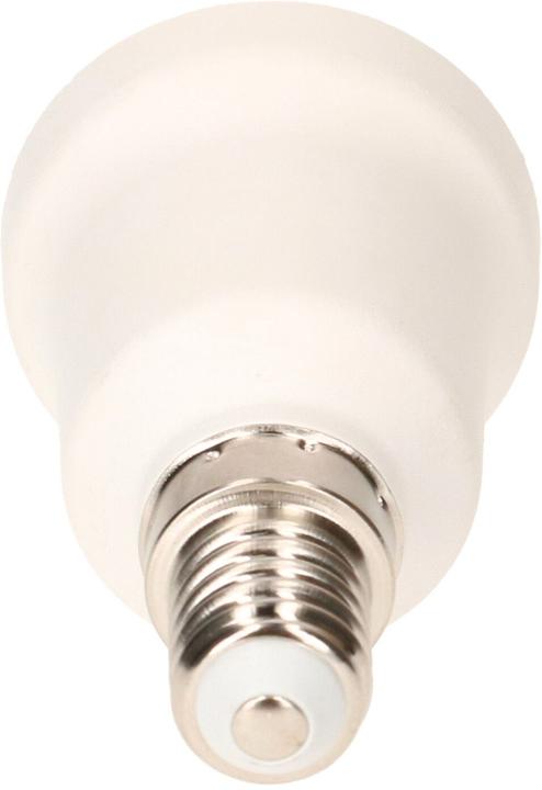 Actual product image Max Hauri Extension version