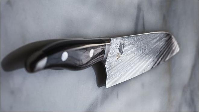 Actual product image Kai Shun Nagare (20 cm)
