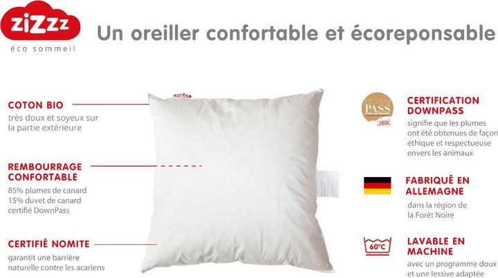 Actual product image Zizzz Duck down pillow (50x70 cm)