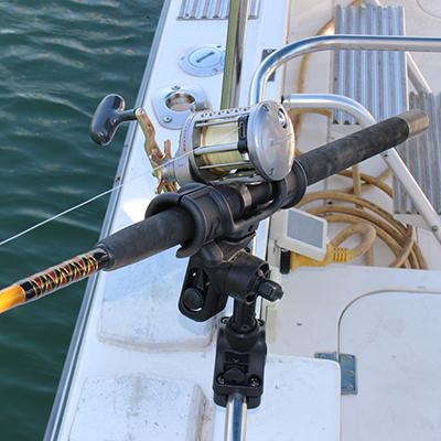 Actual product image RAM Mounts RAM Rod Light Speed With