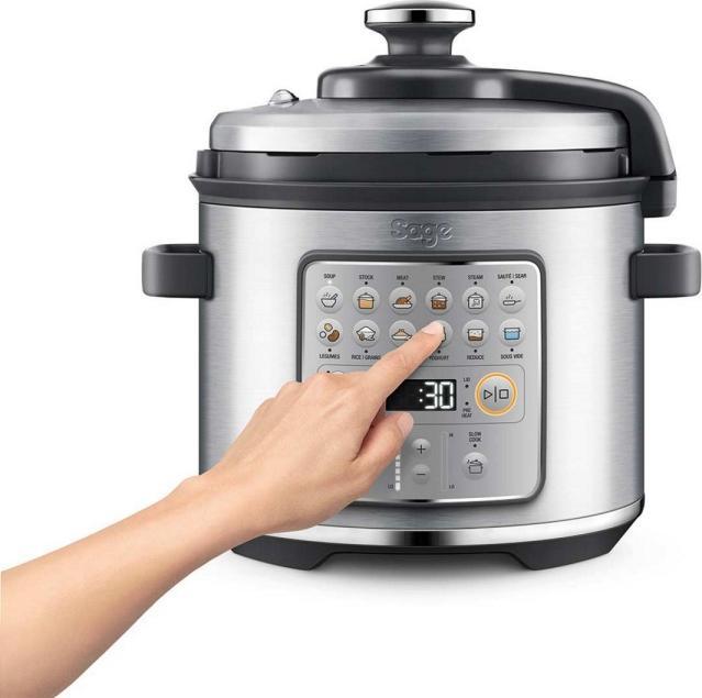 Actual product image Sage The Fast Slow GO