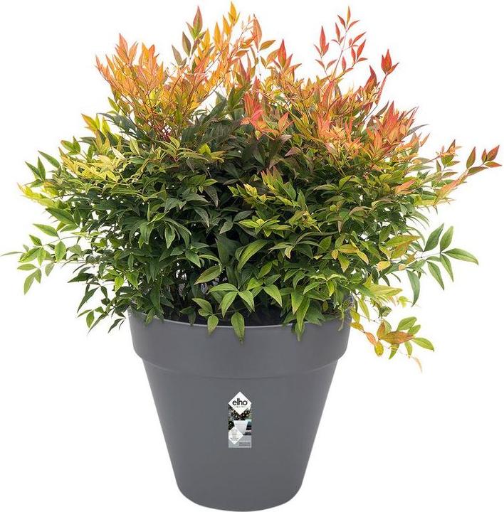 Produktbild Elho Loft Urban (24.50 cm)