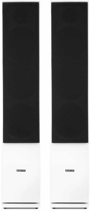 Actual product image Fenton SHF80W (1 pair, 250 W)