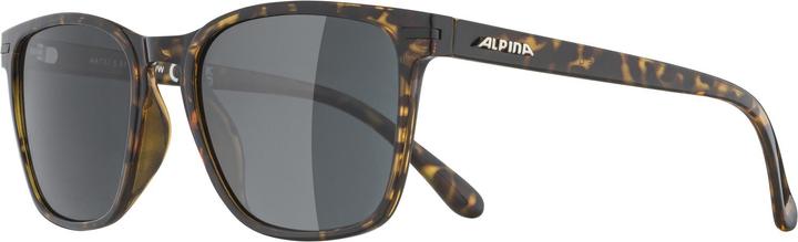 Actual product image ALPINA SPORTS Yefe Pol
