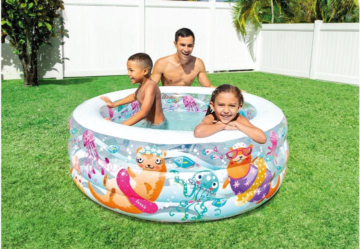 Actual product image Intex Aquarium