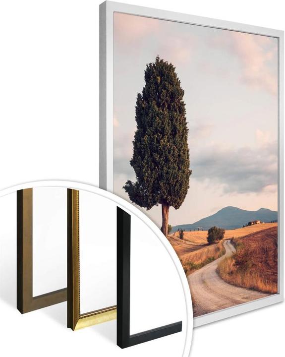 Produktbild Trenddeko Zypressenweg (60 x 80 cm)