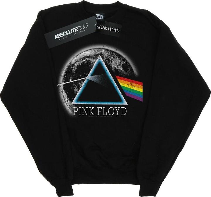 Image du produit Pink Floyd - Sweat DARK SIDE OF THE MOON DISTRESSED - Femme (S)